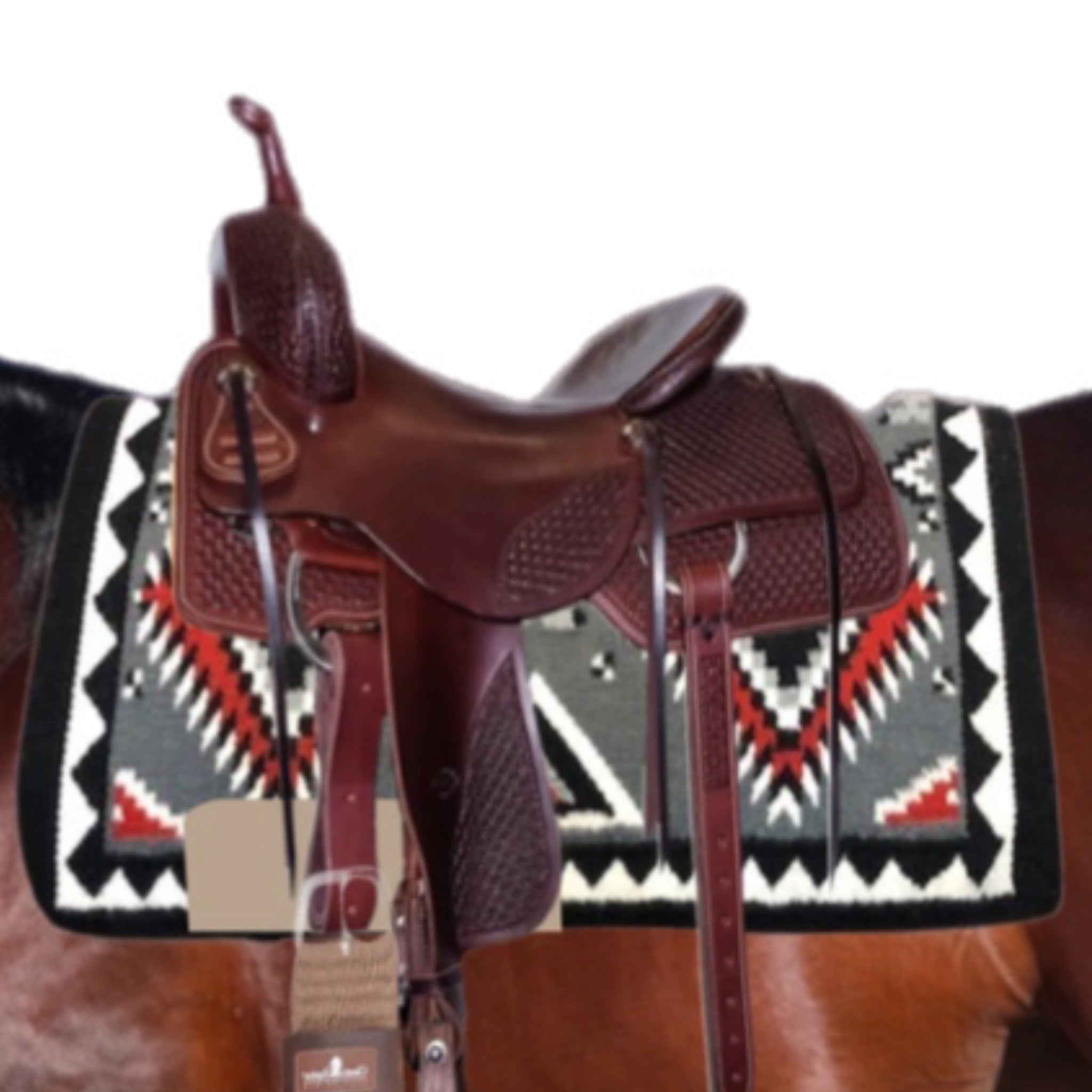 The Bradford, rehonoring world champion and all around wonderful human