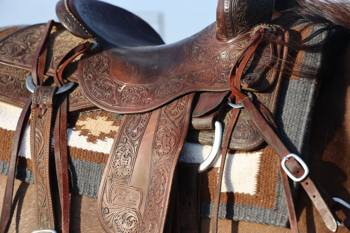 Reno Snaffle Bit Futurity Association Exclusive